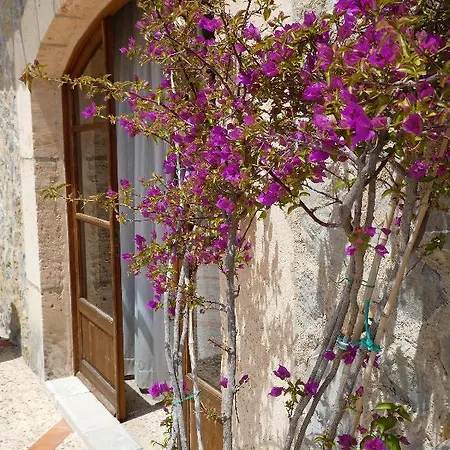 Estades Hotell Calvia (Mallorca)