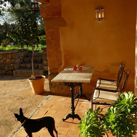 Estades Calvia (Mallorca)