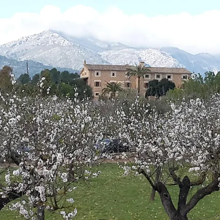 Hotel Estades 4*
