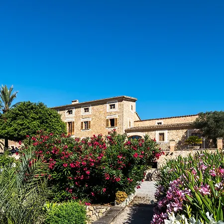 Estades 4* Calvia (Mallorca)